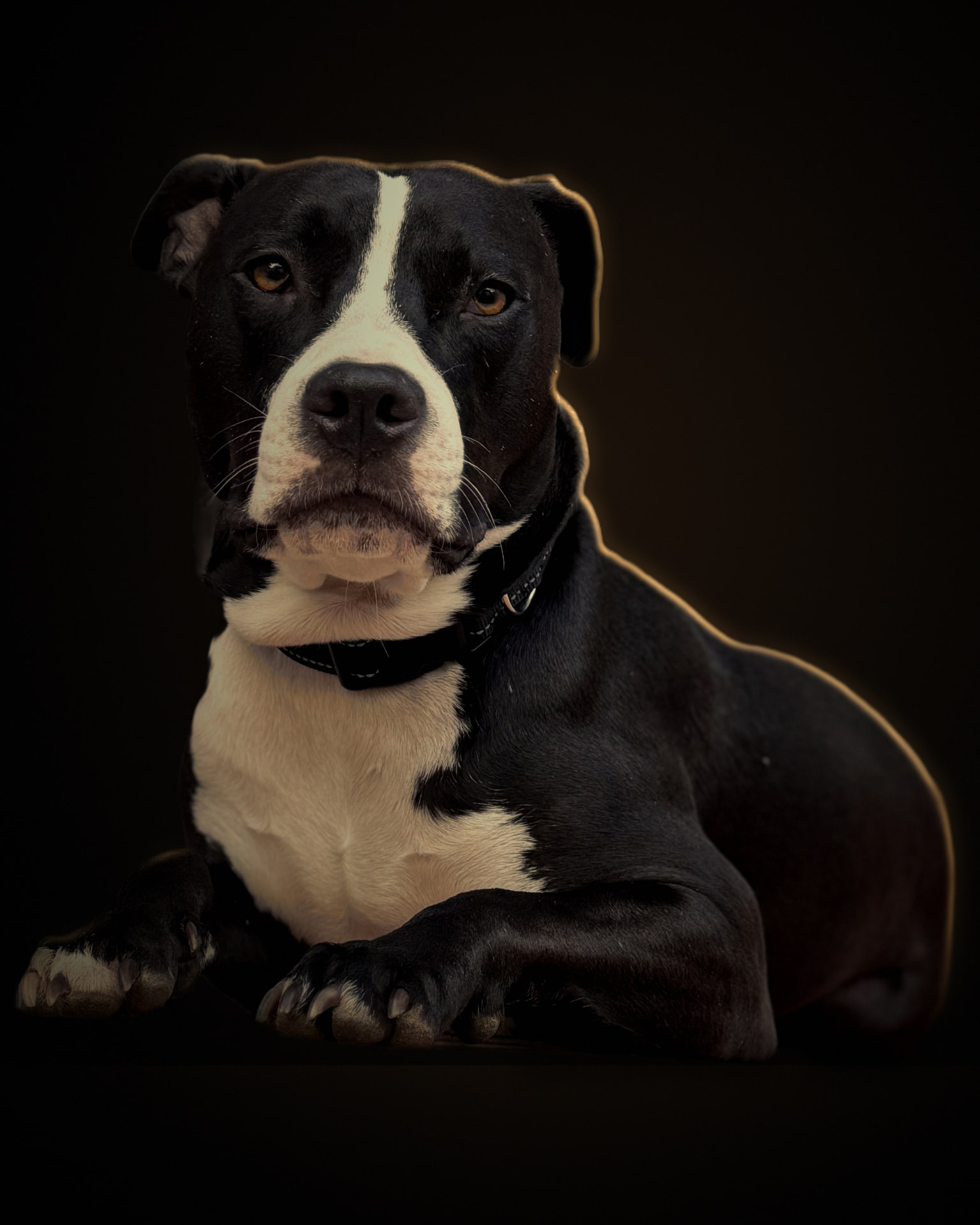 Official campaign portrait of Milo against a dark background