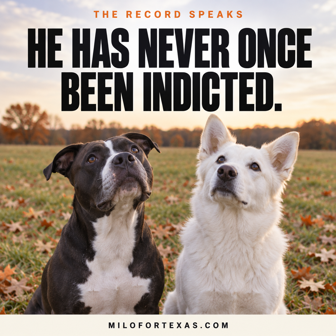 Milo for Senate social card: He has never once been indicted.
