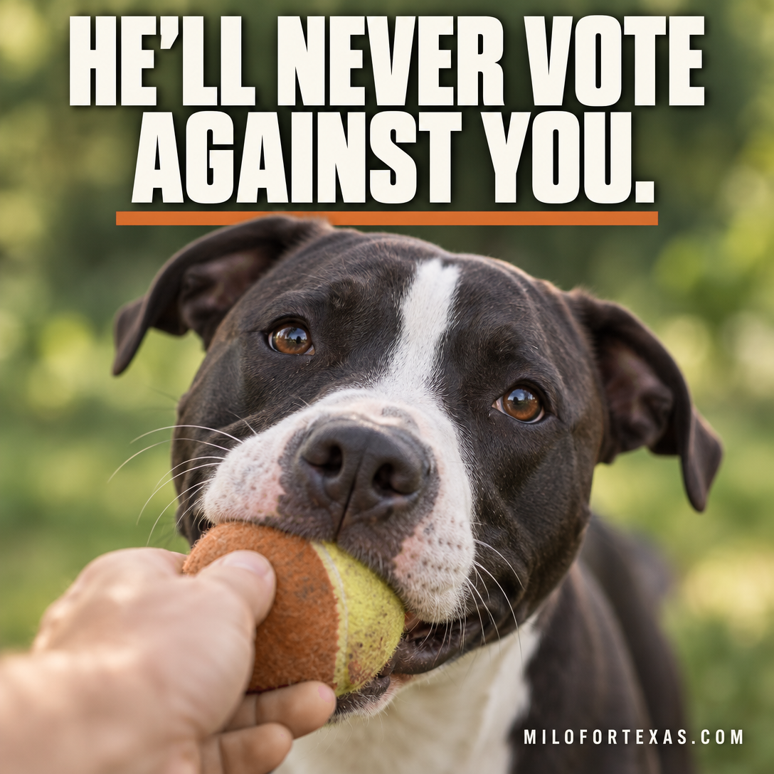 Milo for Senate social card: He'll never vote against you.